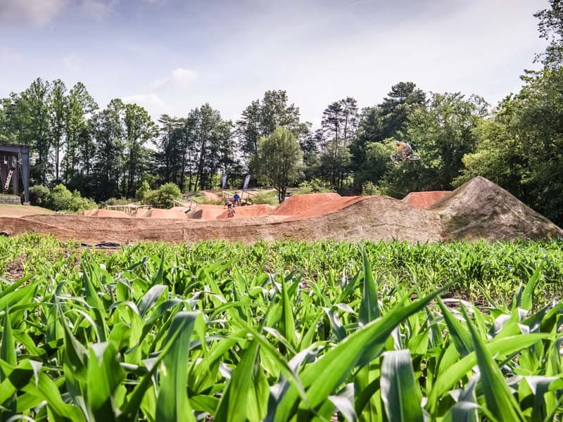 Mountain biker on Fiddlehead farm trail