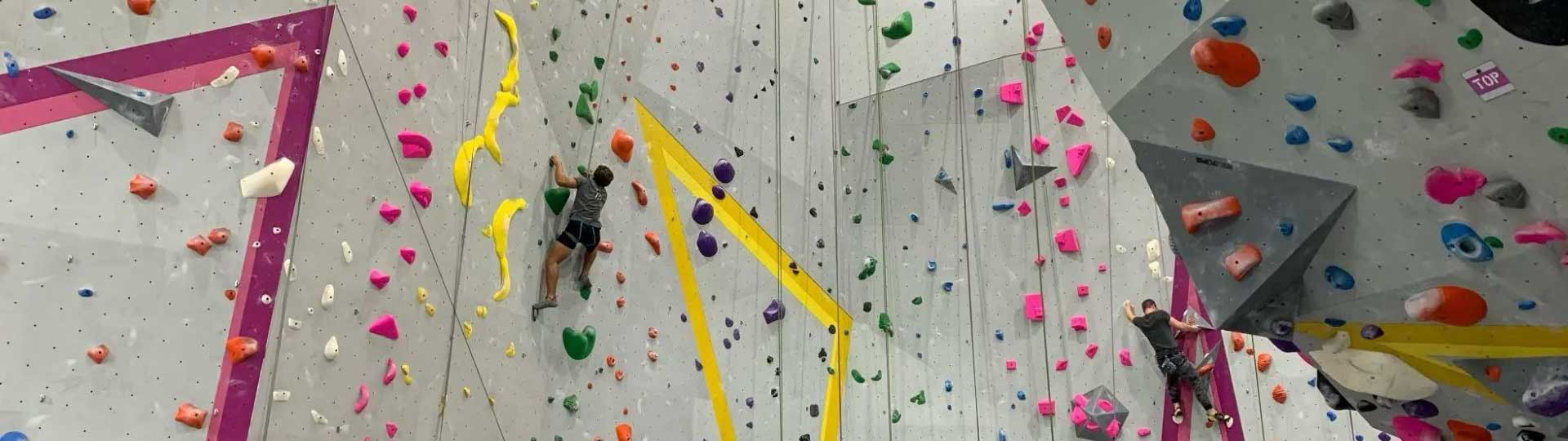 Fiddlehead climbing gym wall