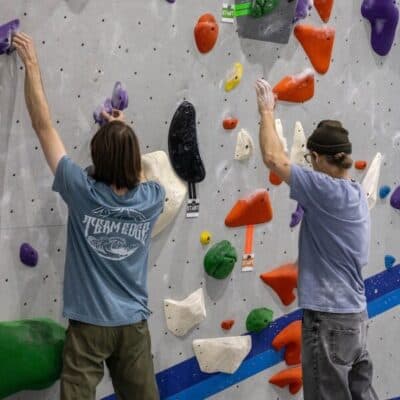 Lead at Fiddlehead
